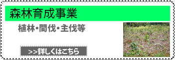 森林育成事業部